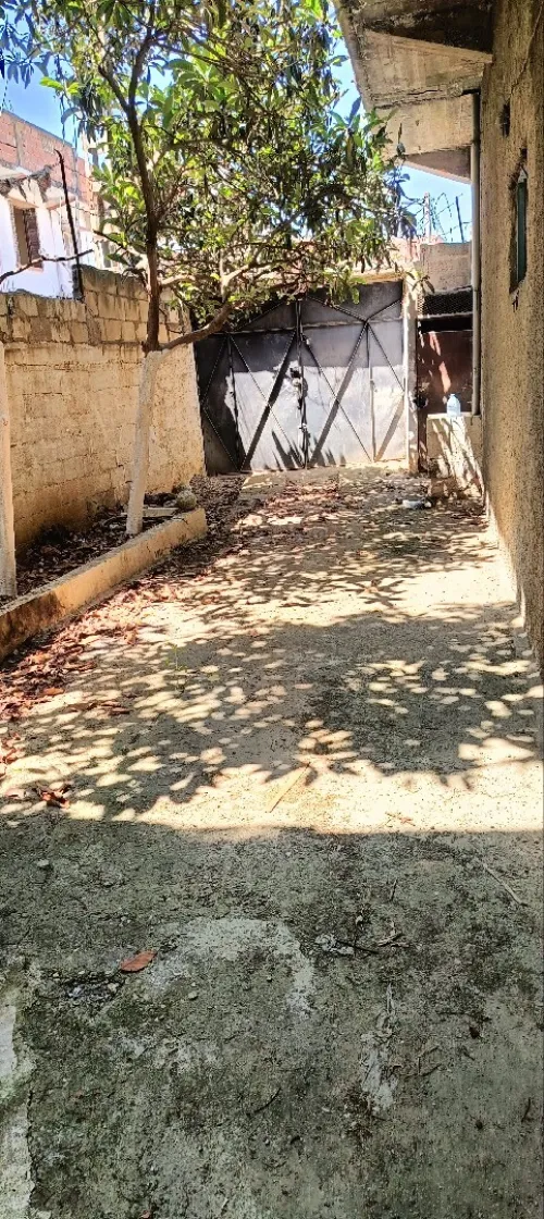 Vente Villa Alger Les eucalyptus