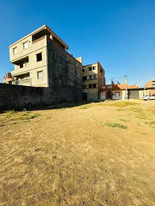 Vente Terrain Blida Meftah