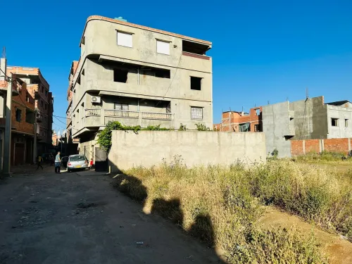 Vente Terrain Blida Meftah