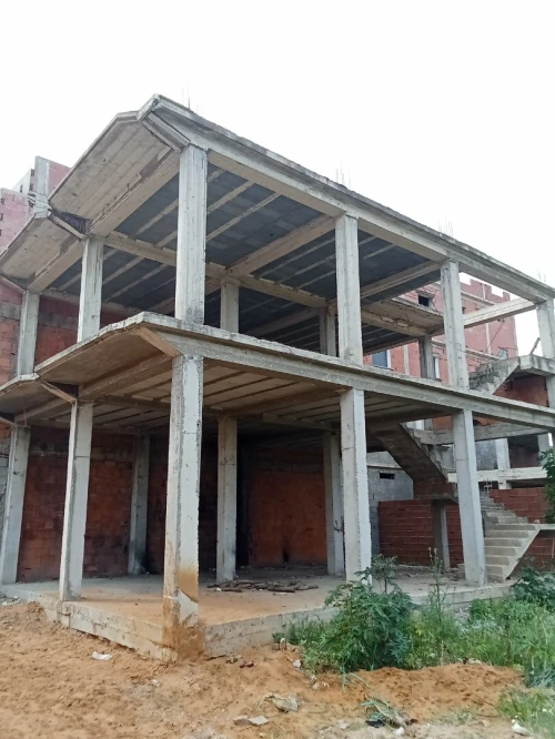 Vente Terrain El Tarf Echatt