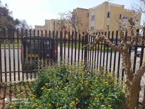 Location vacances Appartement Alger Ain benian