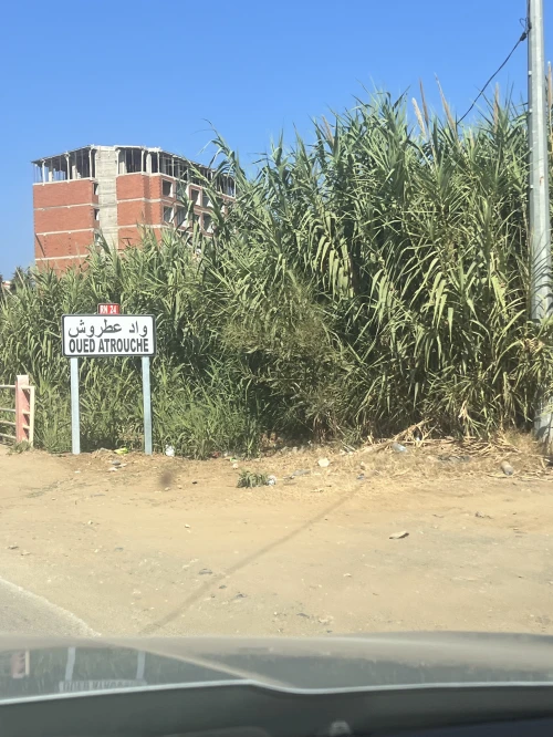 Vente Terrain Béjaïa Beni ksila