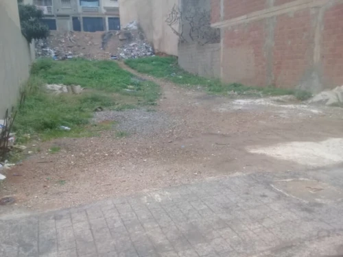 Vente Terrain Tipaza Douaouda