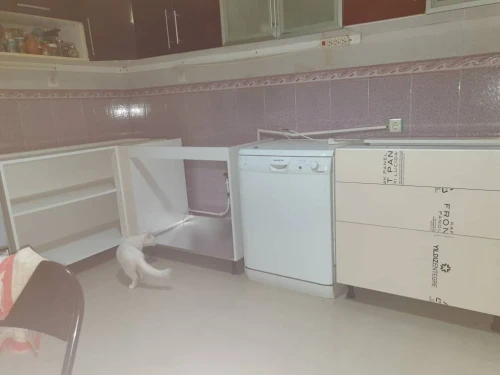 Vente Appartement F4 F5 Alger Dely brahim