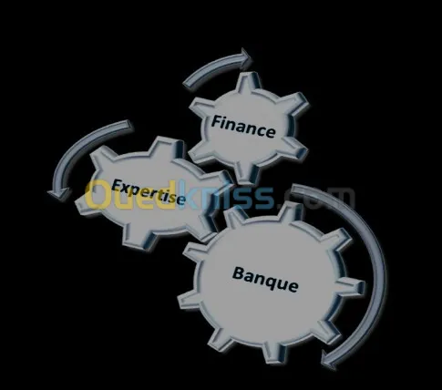 Business plan , ETUDE TECHNICO ECONOMIQUE, etude bancaire , rechelonement credit