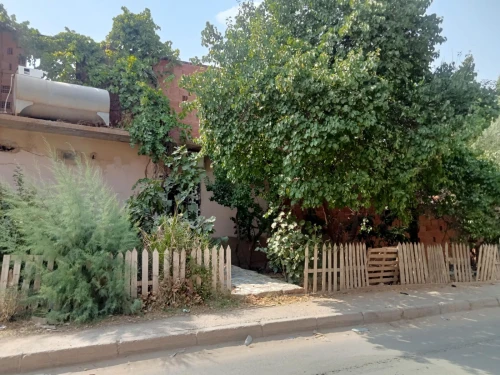 Vente bien immobilier Tissemsilt Tissemsilt