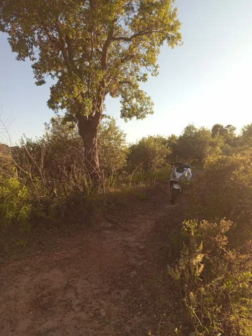 Vente Terrain Jijel El kennar nouchfi
