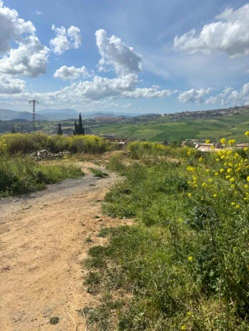 Vente Terrain Médéa Medea
