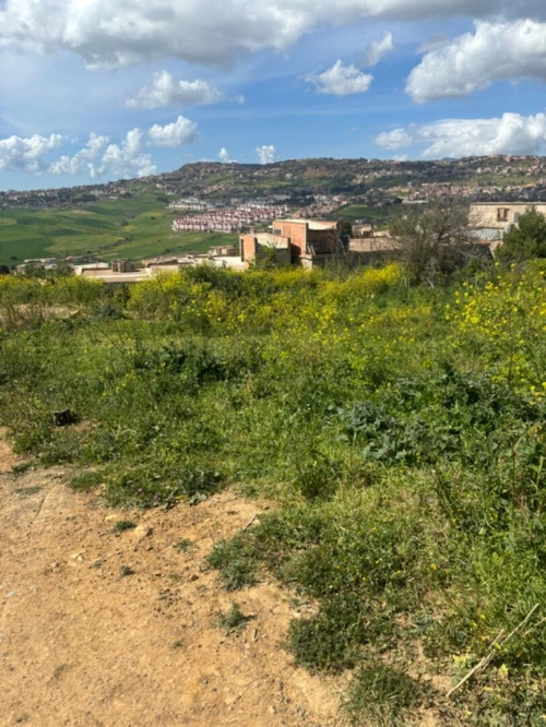 Vente Terrain Médéa Medea