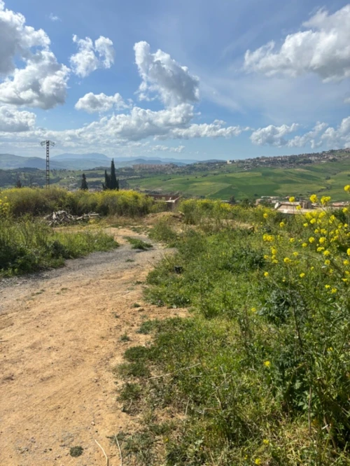 Vente Terrain Médéa Medea