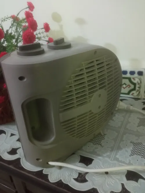 Chauffage soufflant Et Ventilateur Taurus