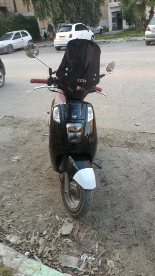 Sym Tonik 2025