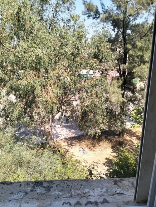 Vente Appartement F3 Blida Bougara 8
