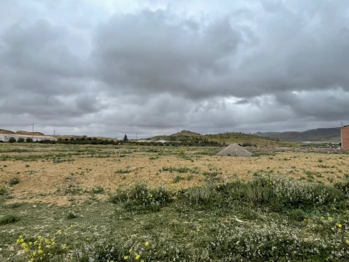 Vente Terrain Batna Ain touta