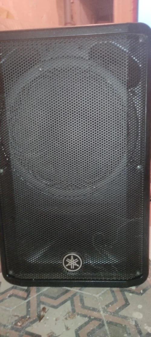 مكبر صوت احترافي 12 بوصة baffle