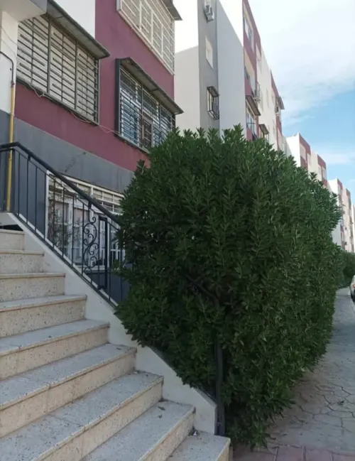 Vente Appartement F3 Constantine El khroub