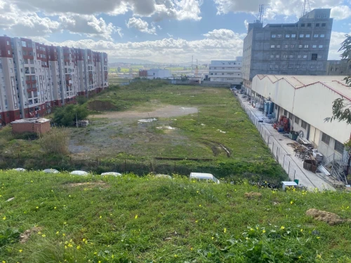 Vente Terrain Alger Baba hassen