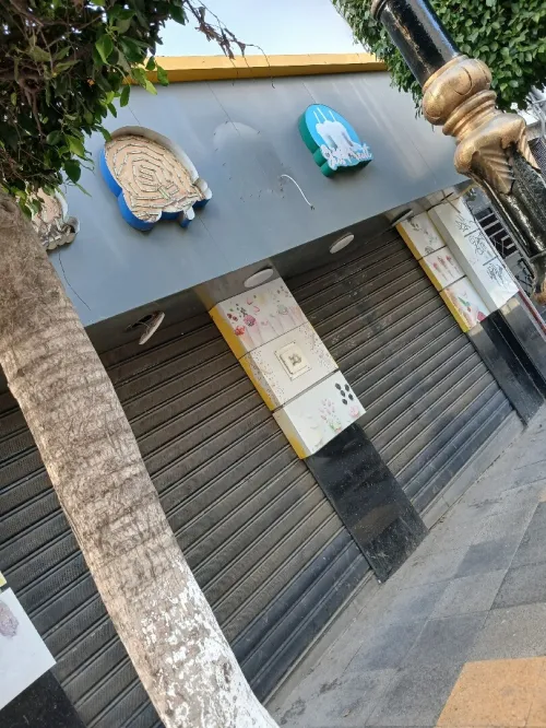 Vente Local Alger Alger centre
