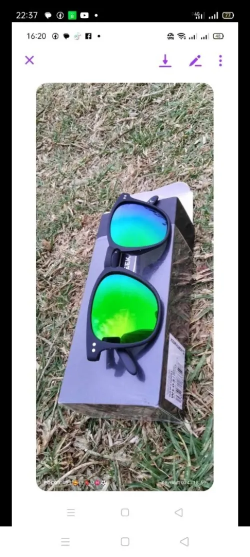 Lunette soleil NORTHWEEK