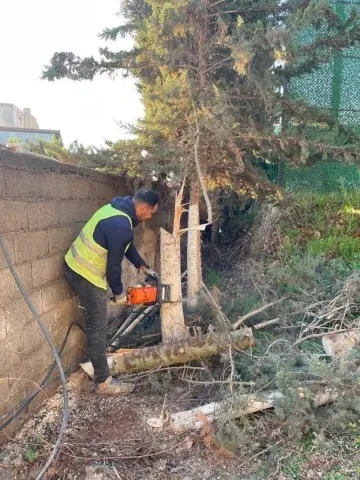 Société nettoyage jardin Abattage Et Élagage Des Arbres تقطيع الاشجار