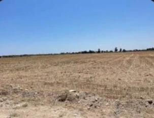 Vente Terrain Biskra Sidi okba