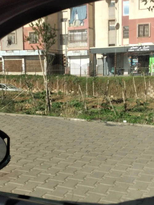Location Local Alger Mahelma