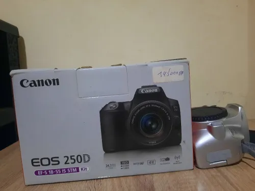 CAMERA CANON 250D (GRIS) STM