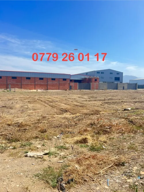 Vente Terrain Alger Ouled chebel