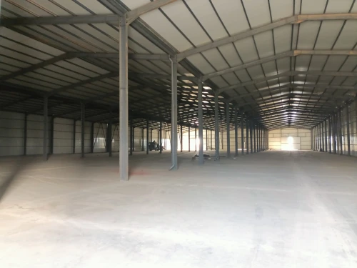 Location Hangar Alger Les eucalyptus
