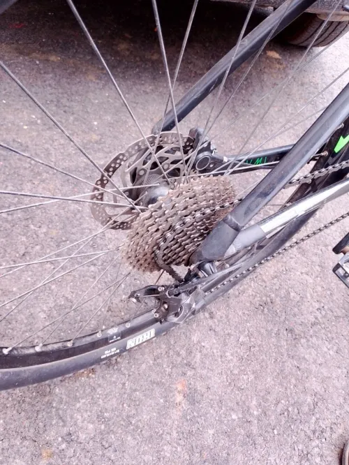 ORBEA