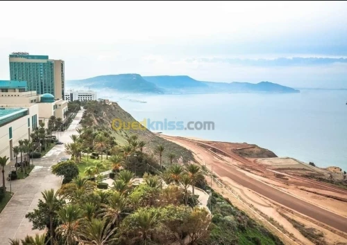 Location Appartement F3 Oran Oran