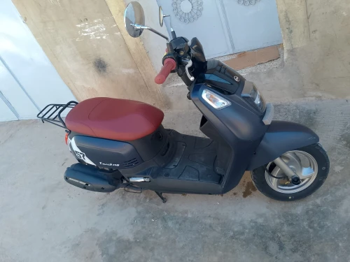 Sym Tonik 2025