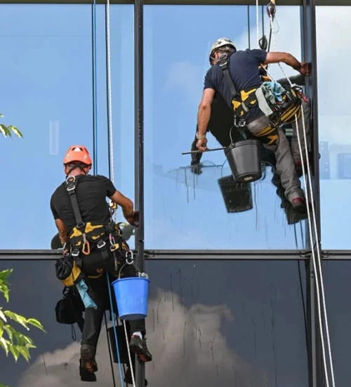 Société de nettoyage des façades et vitres / entreprise de nettoyage vitrage ponçage lustrage, entretien façade et vitrage, moquettes et tapis, jardinage