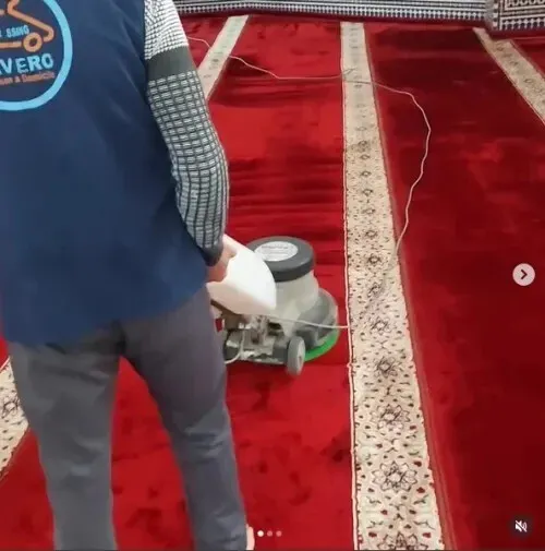 Entreprise de nettoyage de moquette à Alger, détachage et désinfection professionnelle, Société de nettoyage fin de chantier, nettoyage des façades et vitres, vitrage, désinfection, désinsectisation..