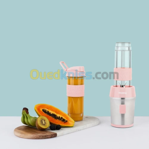 mini blender 300 Watt