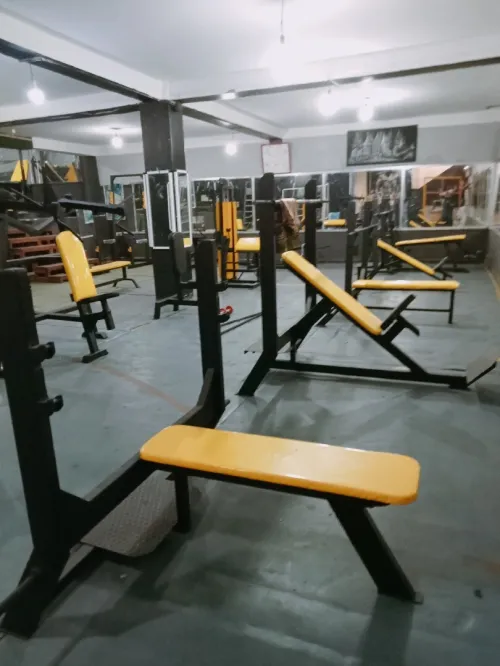 Matériel de musculation