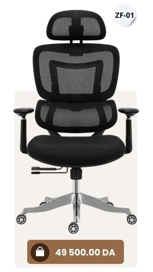 FAUTEUIL ERGONOMIQUE