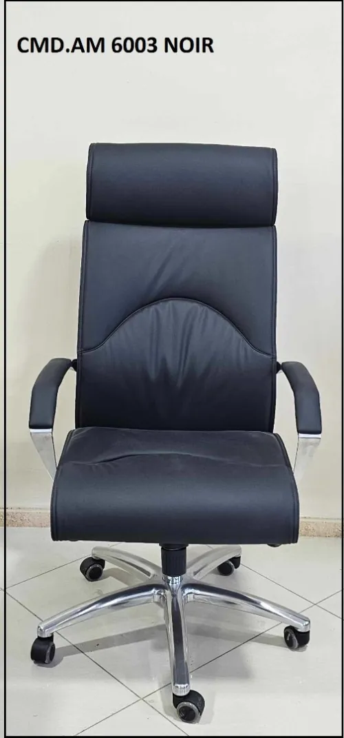 FAUTEUIL DIRECTIONNEL