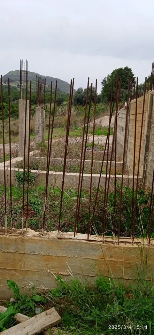 Vente Terrain Tipaza Sidi ghiles