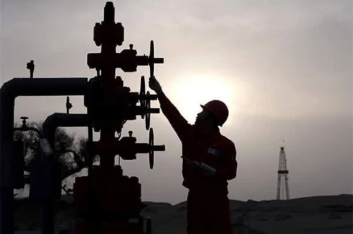 Opérateur Slickline / Wireline /Coiled Tubing/Well Testing