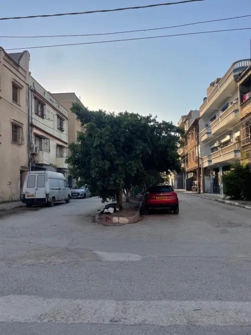 Vente Villa Alger Bordj el kiffan