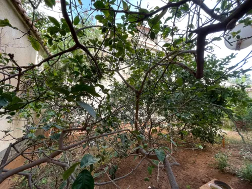 Vente Villa Alger Cheraga