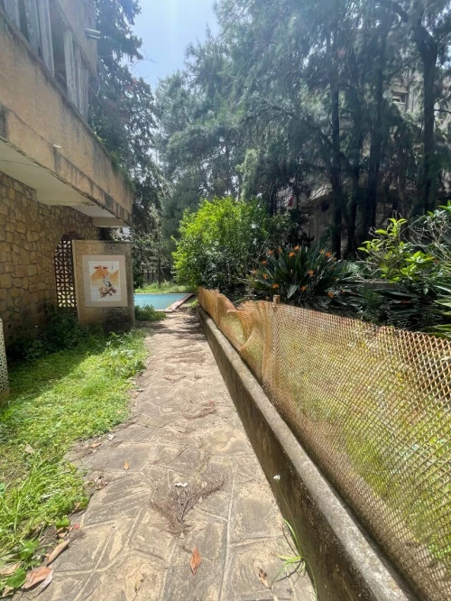 Vente Terrain Alger Draria