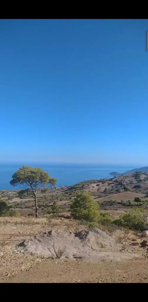 Vente Terrain Chlef Oued goussine