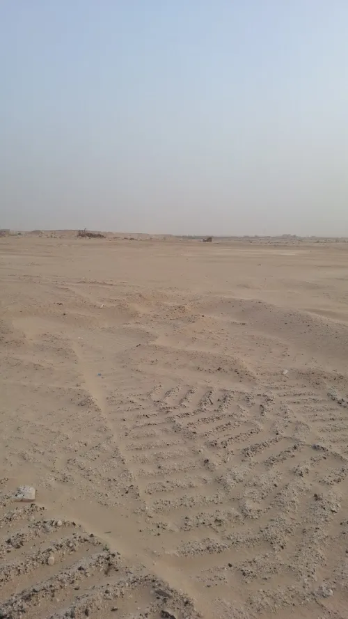 Vente Terrain El Oued Kouinine