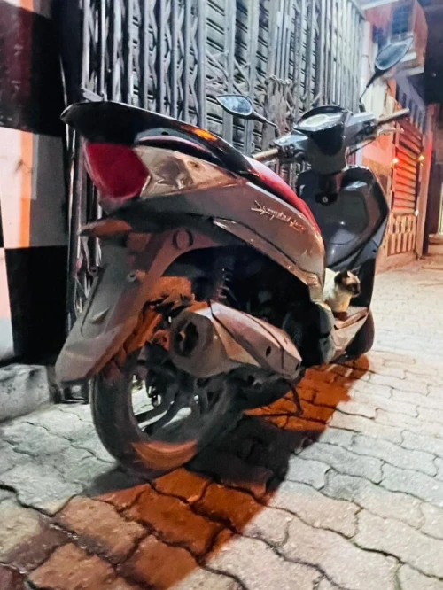 Sym St 2018
