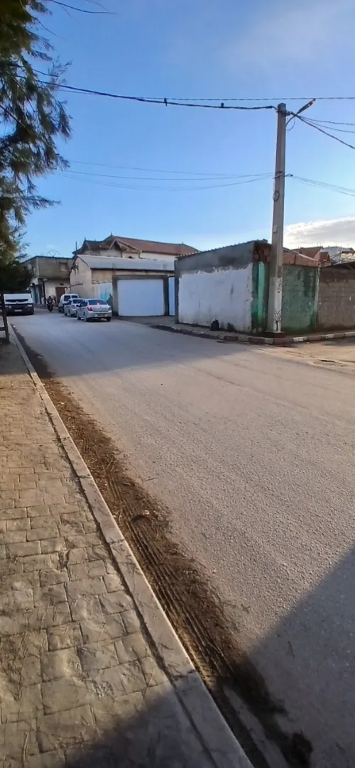 Location Terrain Blida Beni tamou