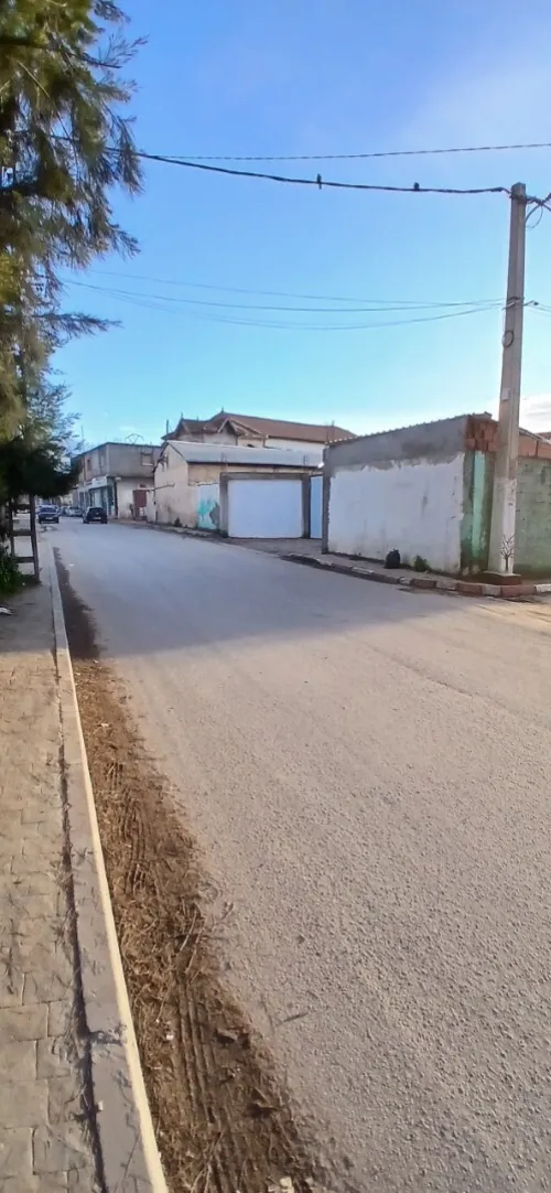 Location Terrain Blida Beni tamou