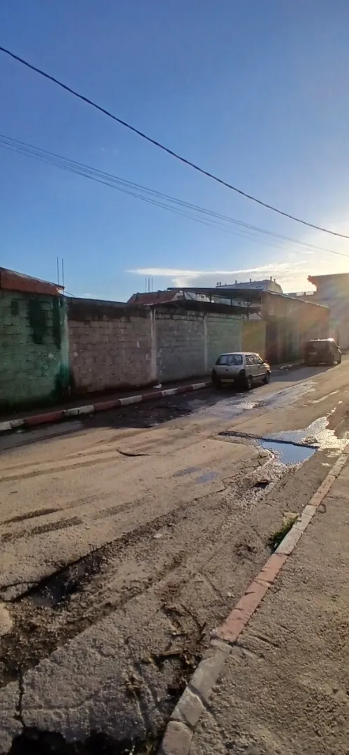 Location Terrain Blida Beni tamou