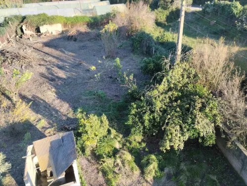 Vente Terrain Jijel Djemaa beni habibi